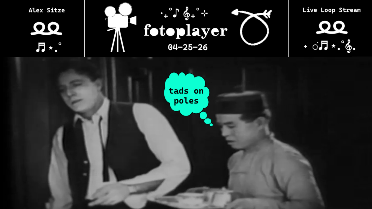 tads on poles YT cover